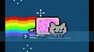 n y a n  c a t