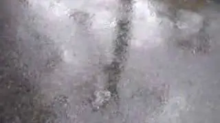 Raining on Street Pavement 158KPS Rain Water Rainy Day