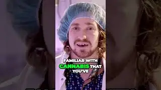 Unveiling the Fascinating World of Cannabis: Exploring Genetic Diversity!