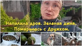 Пилю дрова. Вялю чернослив. Зелёная дыня. Обиженный Дружок.