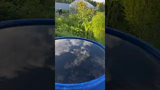 Самое красивое в простом🙏❤️🌸 