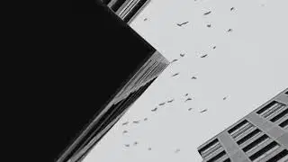 Zivert - Credo