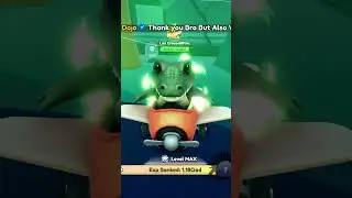 Little Bombardier Crocodile only Los Crocodillitos in Brainrot Evolution Roblox!