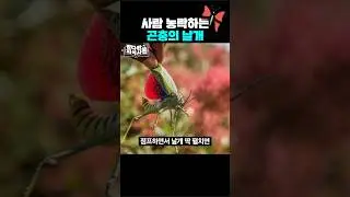 곤충채집 시 명심해야 할 것 🦋
