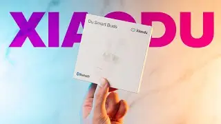 TWS do GOOGLE CHINÊS: Xiaodu Du Smart Buds