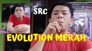 KECIL TAPI ENAK‼️🤣 Rekomen Rokok Sampoerna Evolution Merah