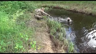 Жерлица.Щука.Балык.Мини сушилка для рыбы