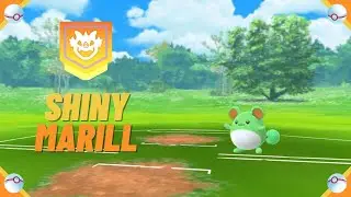 A Wild ✨ Shiny Marill ✨ Appeared! [Pokemon GO] #shorts