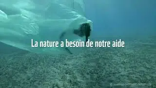 Protéger 30% de la Planète d’ici 2030 pour sauver la biodiversité