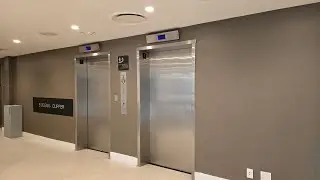 Nice Generic Traction Elevators with Innovation Fixtures