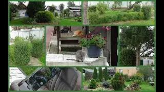 Dacha We continue to trim conifers and Co. Thuja, how do you like the style?🌴🙄 Plans✨