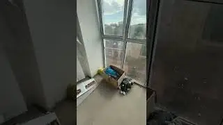 Студия 32м в процессе ремонта ЖК Rems Residents г.Ростов-на-Дону