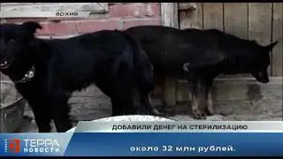 Добавили денег на стерилизацию