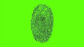 Finger Print Green Screen   Free HD Video Clips