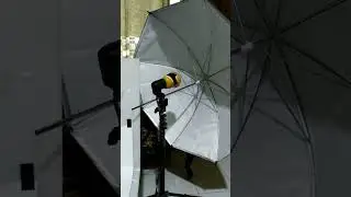 Motret Makanan buat Shutter stock #shorts