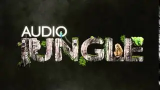 Logos & Idents - Cool Radio Logo | AudioJungle