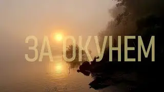 МИКРОДЖИГ. 🐟🐟🐟 КАПРИЗНЫЙ ОКУНЬ НА СТРЕЛКЕ