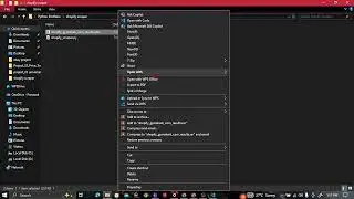 Shopify Store Scraper using Python | Shopify JSON API | Export to Excel