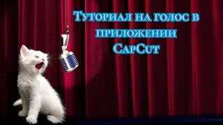 Туториал на голос в приложении CapCut!😍💗🐱