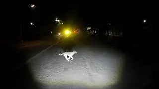 Salpok | lakas ng mini driving light | Edi Thur