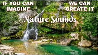 Nature video water and birds sounds to help clear your mind