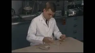 Urine experiments for outer space exploration - Silent footages