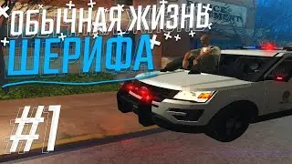 ОТСТОЯЛ 9 - КУ ЛСПД, ПОСТАВИЛИ НА ЛИДЕРКУ РКШД // ЖИЗНЬ ШЕРИФА НА ARIZONA RP RED - ROCK #1