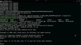 how to use docker to run mysql with phpmyadmin 