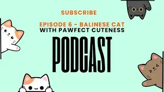 Episode 6 -  Balinese Cat Breed Information and Characteristics