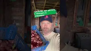 При цистите лучше нет средства! 💪