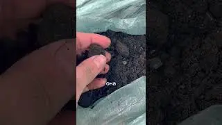 Земля для защиты семьи