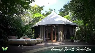 Eckart Tolle TV Guided Breath Meditation with Kim Eng & Nature Sounds for Anxiety & Insomnia Relief