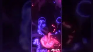ярко цвет красивые , 🌧, парк тики вики
