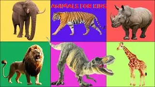Fun Animal Shape Song for Kids | Flying Birds Create Animal Shapes!