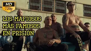 Become a Gang Leader ❗❗ Gang Rule #movieclip #shotcaller #acmfilm