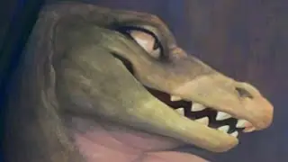 This Gator is Hot and Ready