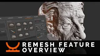 Kodon - Remesh Feature Overview (Outdated)