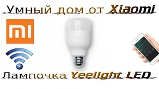 ОБЗОР Xiaomi Yeelight LED — умная светодиодная лампочка  Умный дом от Xiaomi