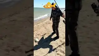 Ейск и район его ловит мешками. Станица Должанская - ловят пеленгаса.