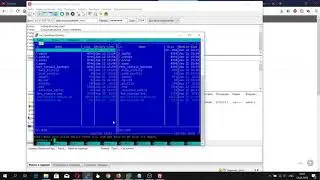 VestaCP перенос данных | VestaCP- Migrating Backups