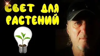 Свет для растений своими руками