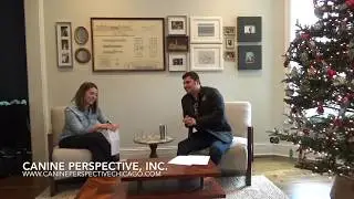 Physical Therapist Gives Her Testimonial On E-Collar And Explains Similar Device Applied To Humans