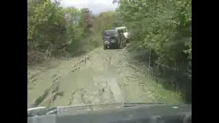 MVI 2915