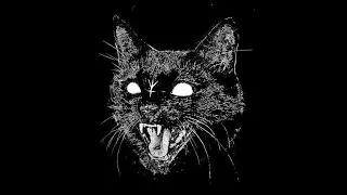 NoX - Cat