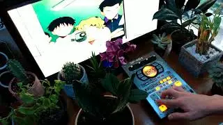 P L A N T S Sp404sxbeat