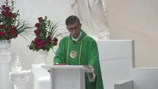 Holy Mass Friday of the Twenty-second Week in Ordinary Time