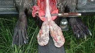 How to cut beavertail, detailed instructions, close-up.