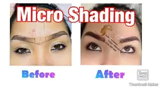 MicroShading by Lee Tran l The Best Eyebrow Master
