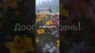 Добрый день!