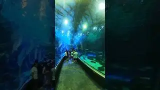 AquaRio, Río de Janeiro